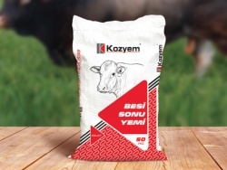 Sığır Besi Sonu Yemi