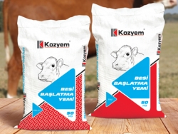 Sığır Besi Başlatma Yemi