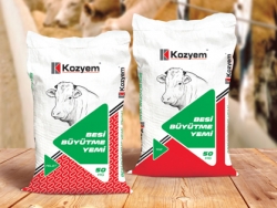 Sığır Besi Büyütme Yemi