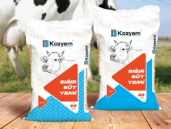 Sığır Sütü Yemi