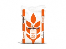 Bread Wheat Flour